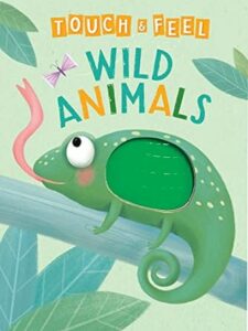 Wild Animals: A Touch And Feel Book By Holly Hunt