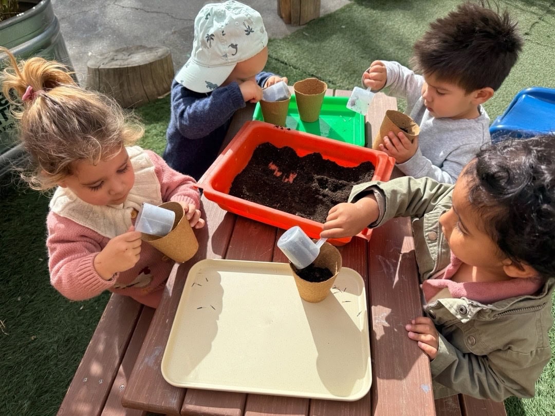 Children Planting Seeds In Small Pots During Outdoor Childcare Activity.